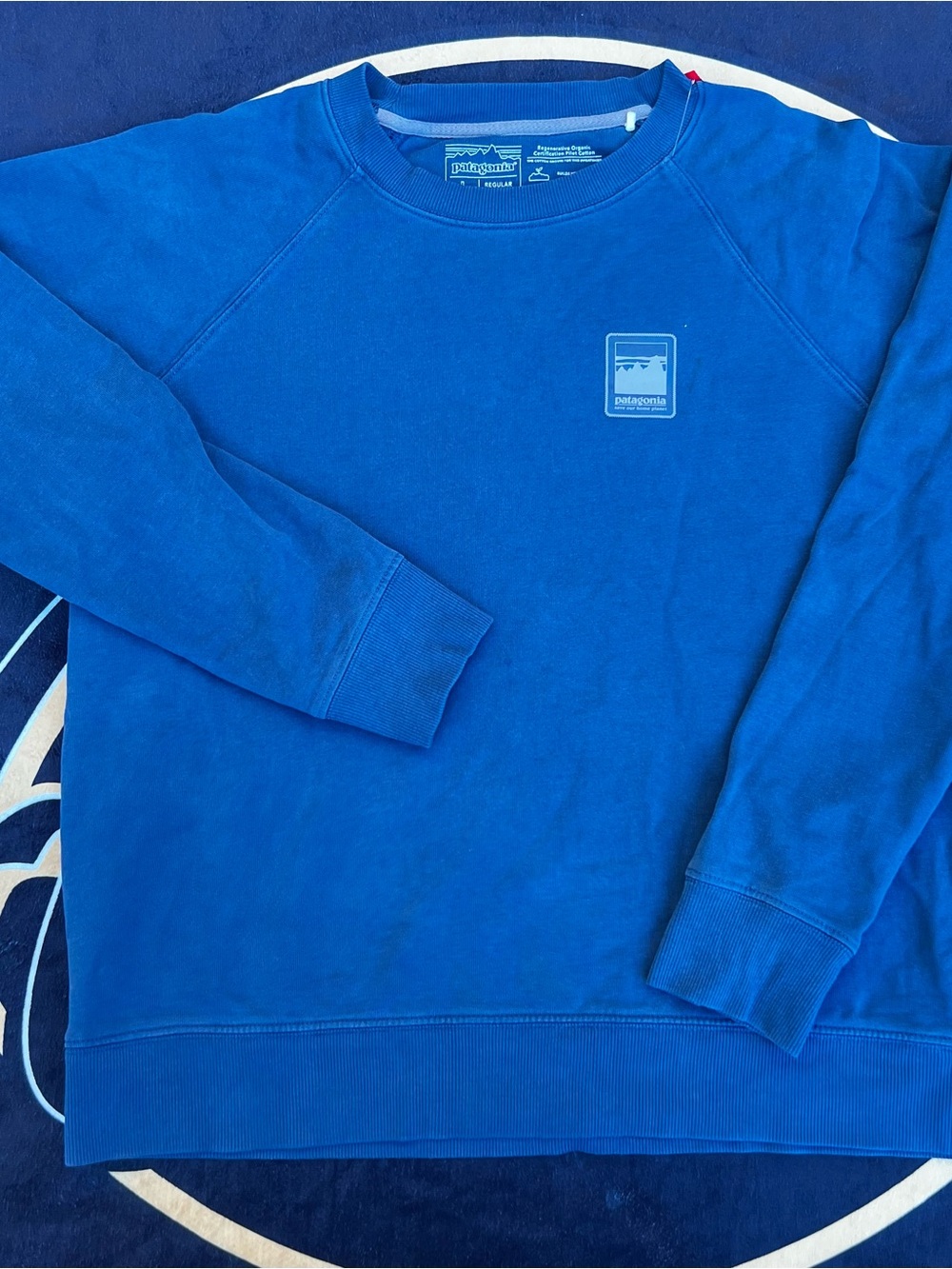 Patagonia Men's Crewneck Sweatshirt - Royal Blue